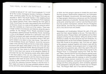 Not a Penguin Pool: Echoes of More-Than-Human Entanglements