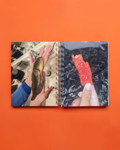 Hand For Scale (2nd Edition)