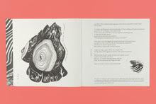 Slow Earth Companion: Rooted Wayfinding in Fragmentary times