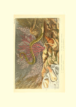 Standard ISO 29991. Thesaurus of Child Ecology