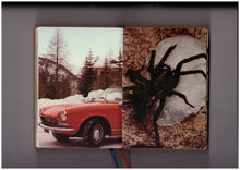 Homographs (English)