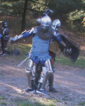 THE KNIGHT, THE PRINCESS AND THE GOOSE