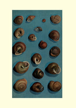 Standard ISO 29991. Thesaurus of Child Ecology