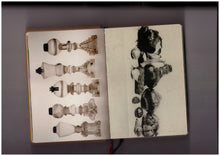 Homographs (English)