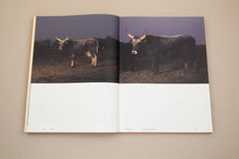 Floating Signifiers – Case studies on image, origin and representation