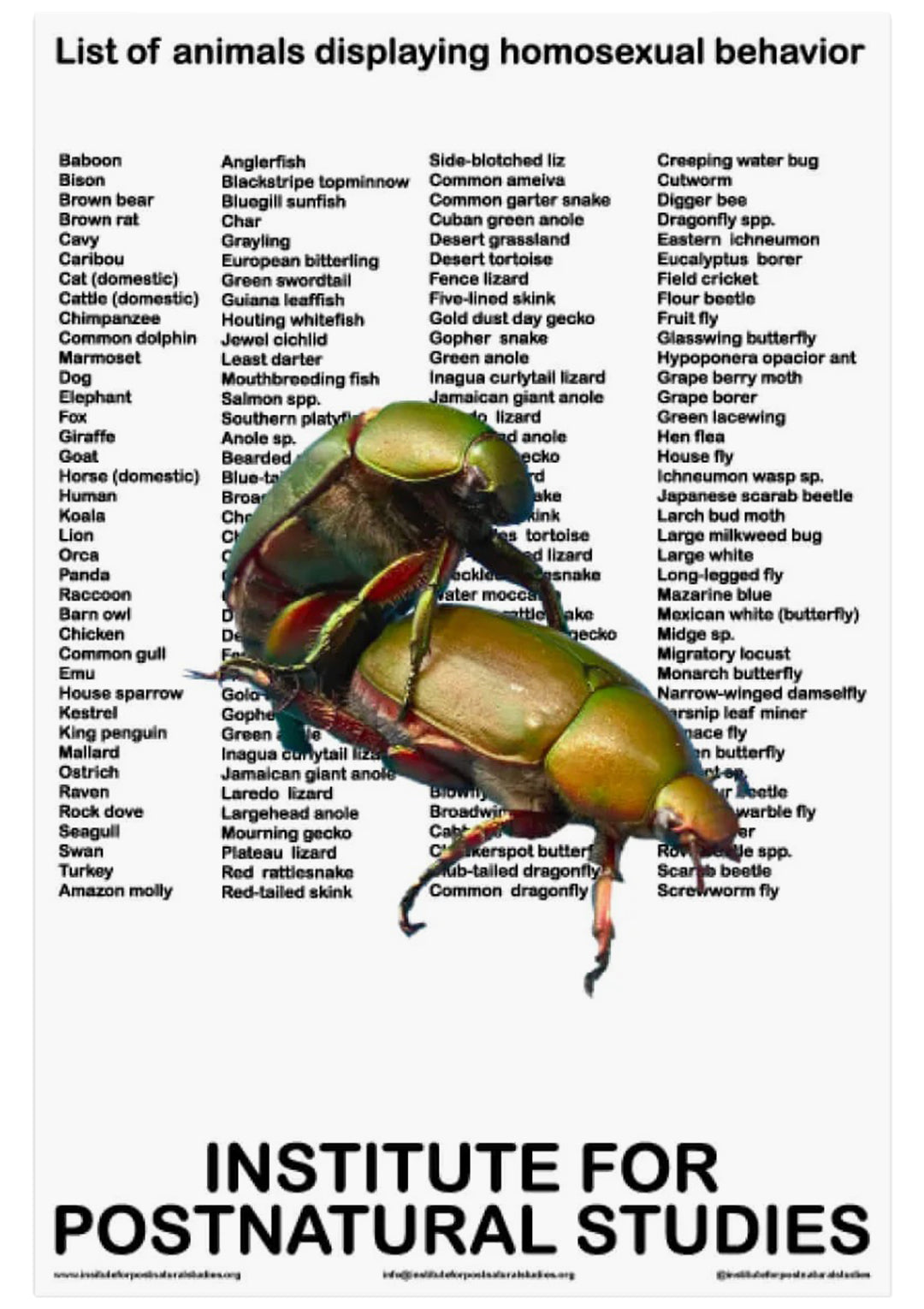 List of animal displaying homosexual behaviours