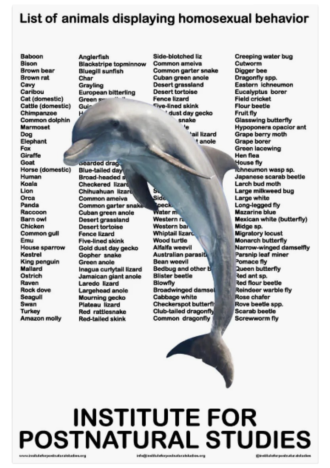 List of animal displaying homosexual behaviours