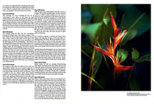 MATTO Magazine Issue 9