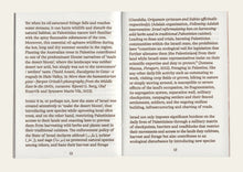 Melon #1: On Foraging in Palestine, Japan & Maastricht