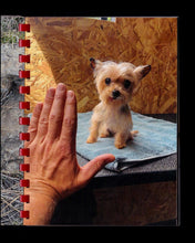 Hand For Scale