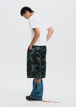 (nu-P67) 2026 Jorts Dragon