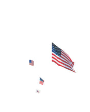 NEW YORK POST flag profile