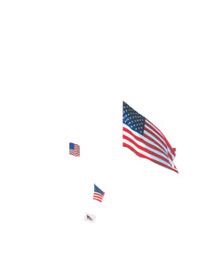 NEW YORK POST flag profile
