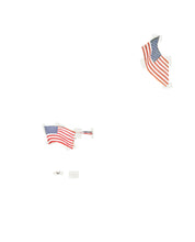 NEW YORK POST flag profile