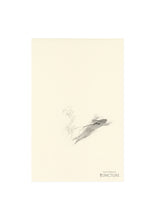 PJUNCTURE PRINT B