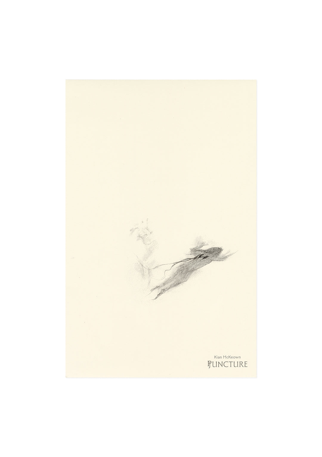 PJUNCTURE PRINT B