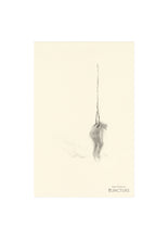PJUNCTURE PRINT B