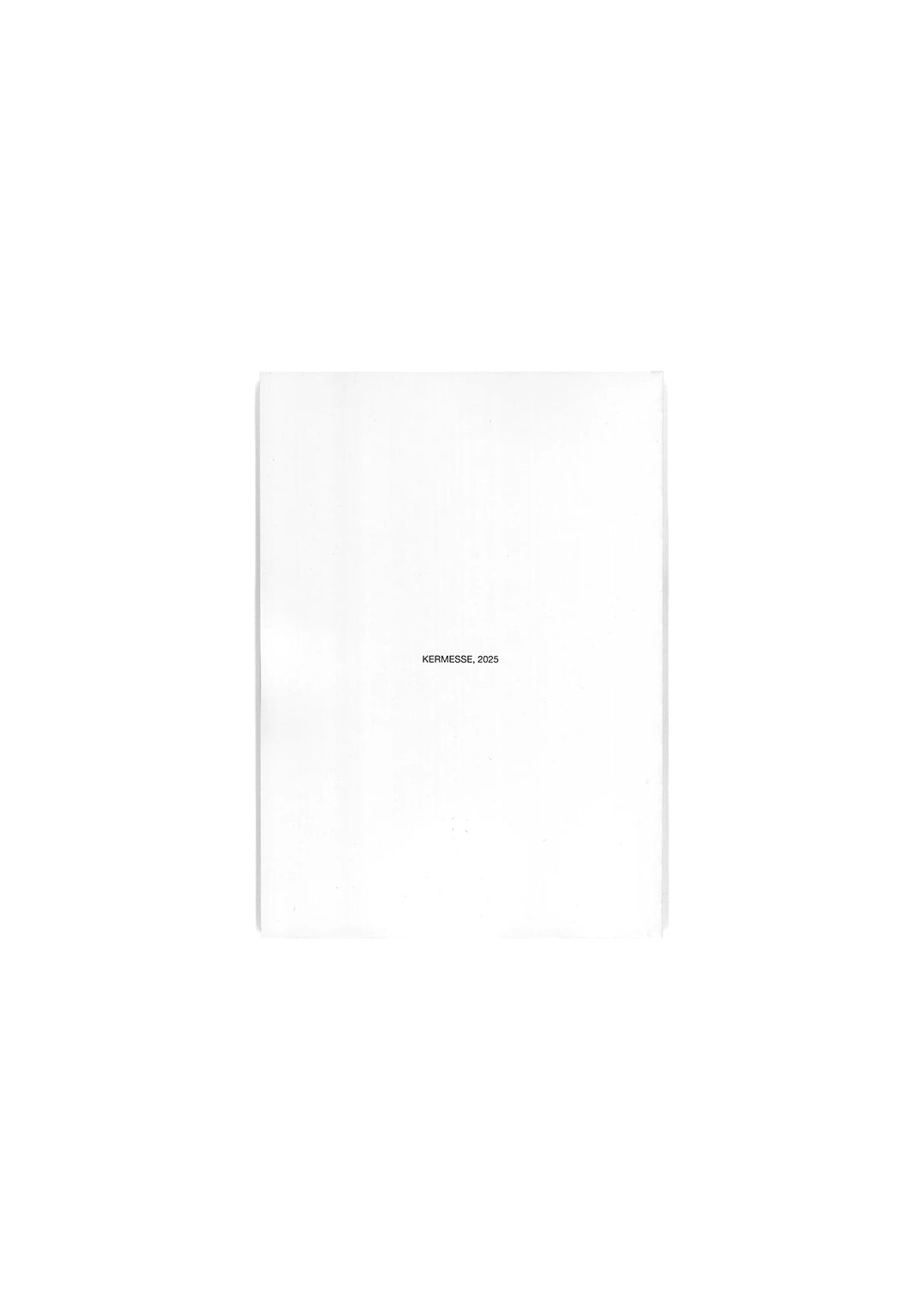 THE KNIGHT, THE PRINCESS AND THE GOOSE