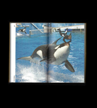 Zoo Index Reader Volume 1