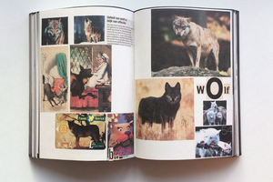 Animal Books For (Reprint / New Cover)