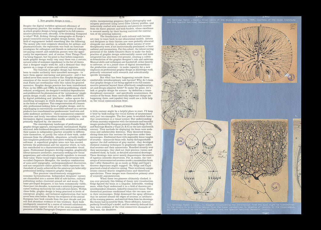 n°44 — A conundrum: the visual communication of neuroscience. – Bungee ...