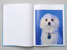 Dogs, Portraits and Objects