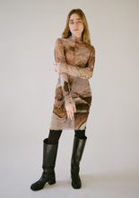 Earth Tone Mesh Dress