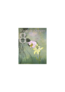 Trapper Keeper 8