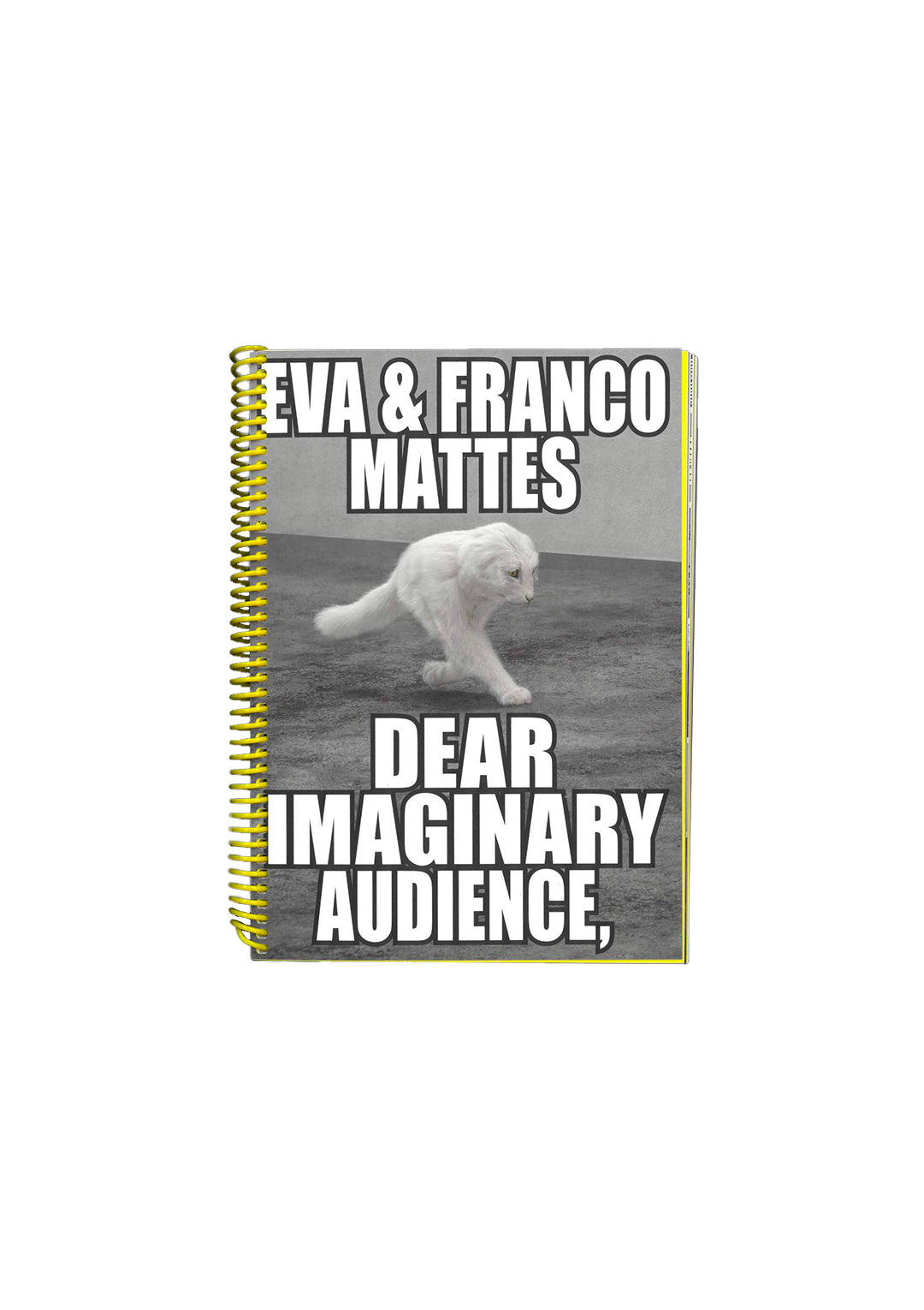 Dear Imaginary Audience